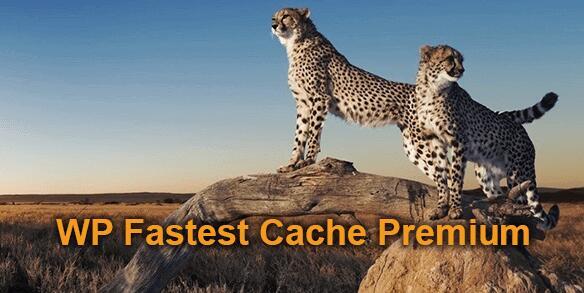 Wordpress缓存插件源码下载WP Fastest Cache Premium v1.7.0 破解版下载（已汉化）